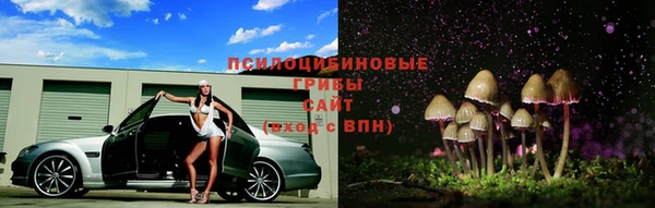 герыч Бородино