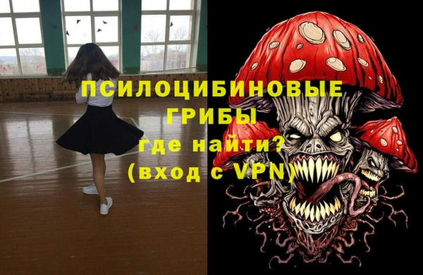 герыч Бородино