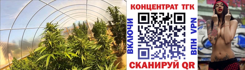 hydra зеркало  купить наркотик  Гусев  Дистиллят ТГК Wax 